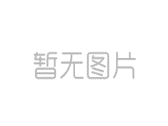 真空浸滲加工工藝：全面解析與深入探討